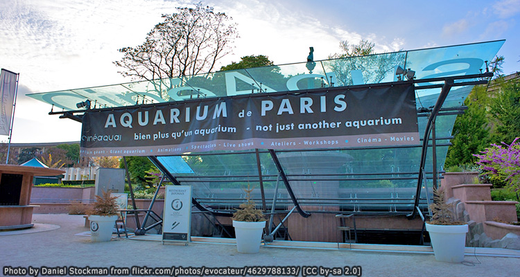 พิพิธภัณฑ์สัตว์น้ำปารีส LAquarium De Paris1 