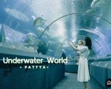 Underwater World Pattaya