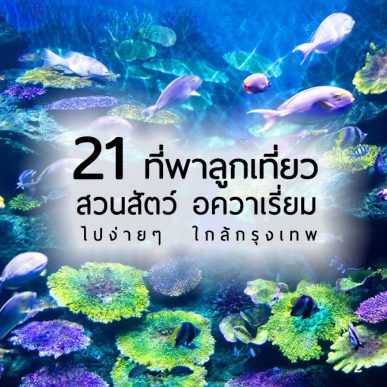 top-zoo-aquarium-near-bangkok
