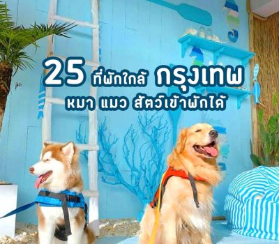 pet-friendly-hotels-near-bangkok