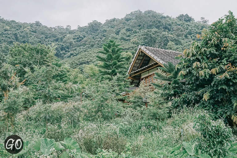 Review image of Mori Natural Farm 