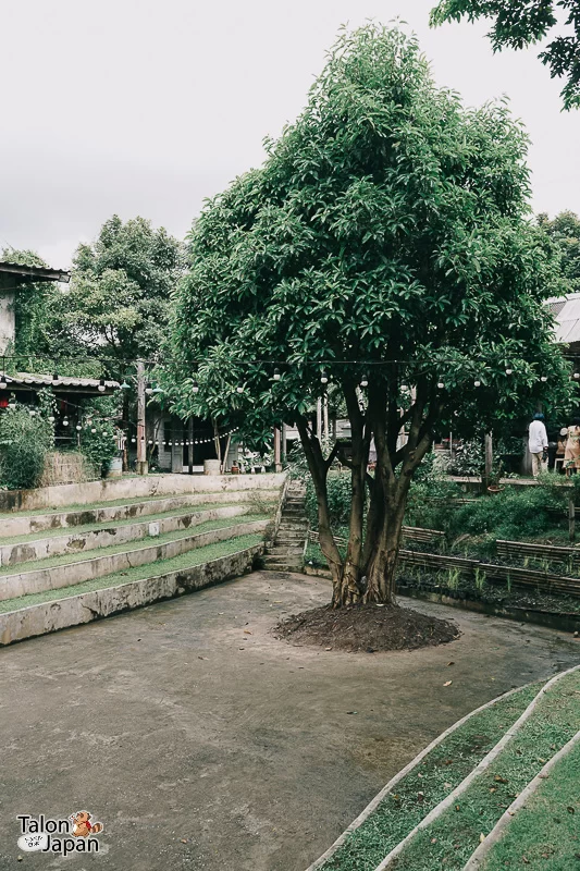 Review image of Baan Kang Wat 