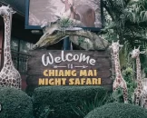 Review image of Chiang Mai Night Safari