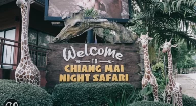 Review image of Chiang Mai Night Safari