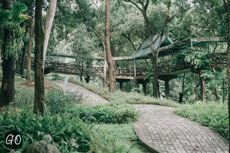 Review image of Chiang Mai Zoo 