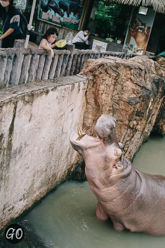 Review image of Chiang Mai Zoo 