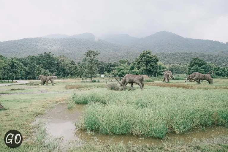 Review image of Huai Tueng Thao 