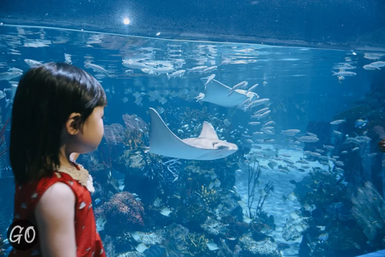 Review image of Phuket Aquaria