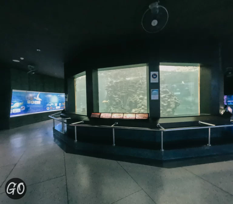 Review image of Phuket Aquarium 