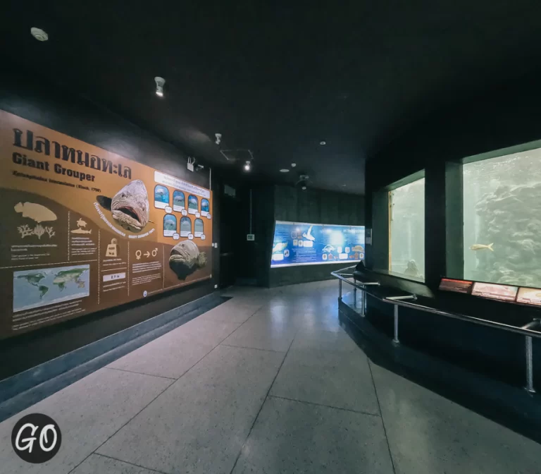 Review image of Phuket Aquarium 