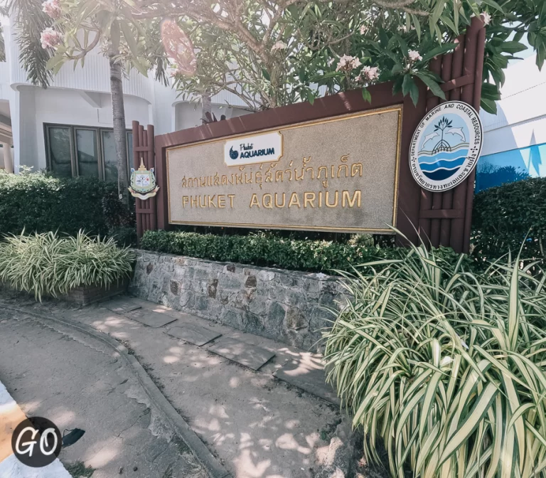 Review image of Phuket Aquarium 