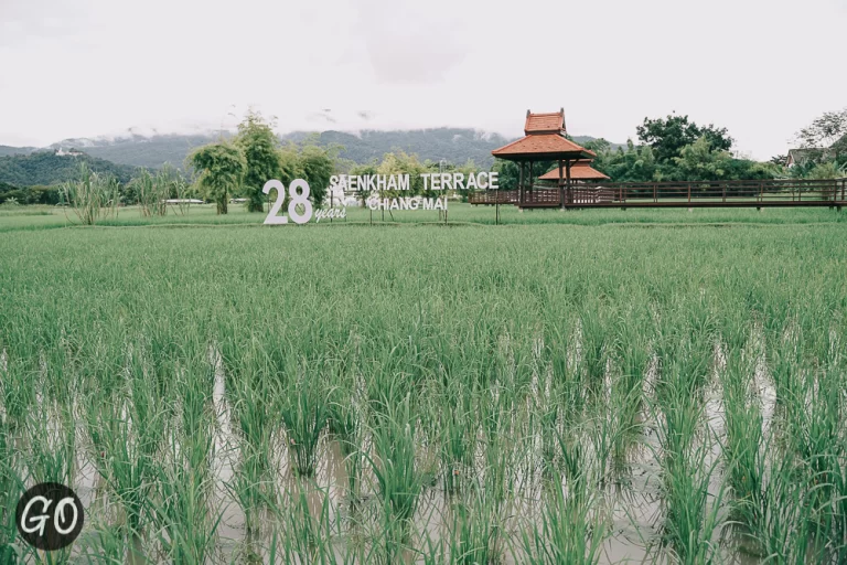 Review image of Saenkham Terrace 