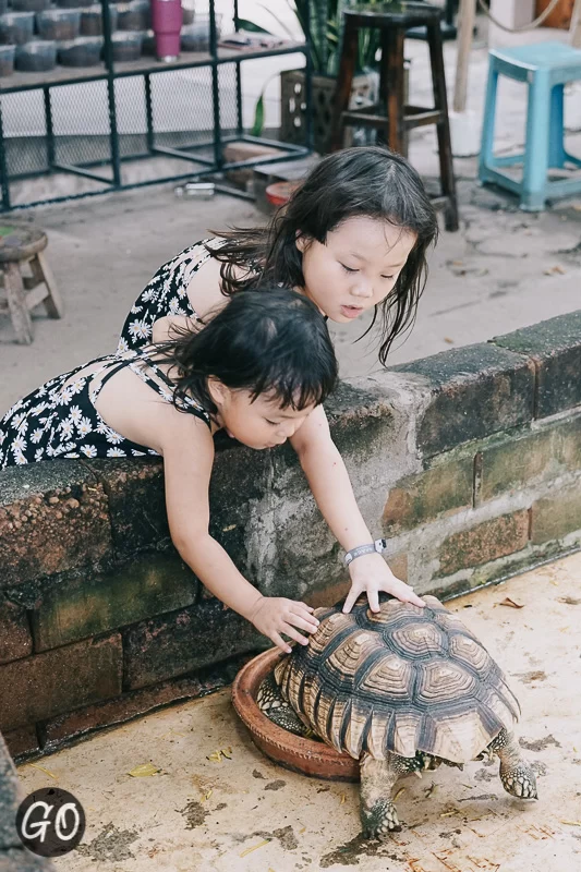 Review image of Siam Insect Zoo 