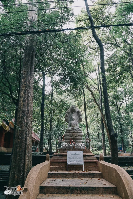 Review image of Wat Umong Suan Phutthatham 