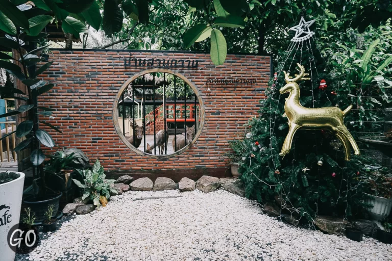 Review image of บ้านสวนกวาง