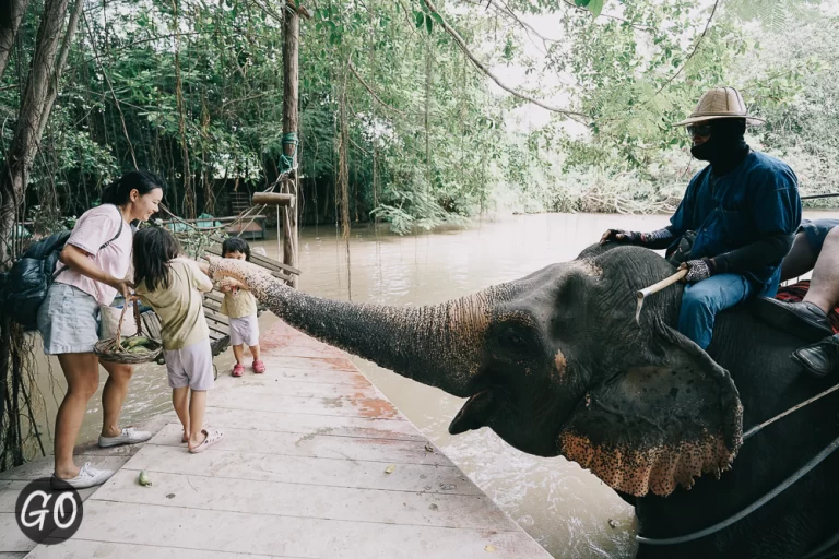 Review image of มองช้าง คาเฟ่ 