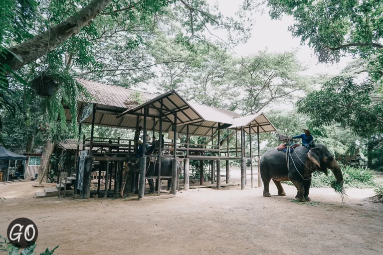 Review image of มองช้าง คาเฟ่ 