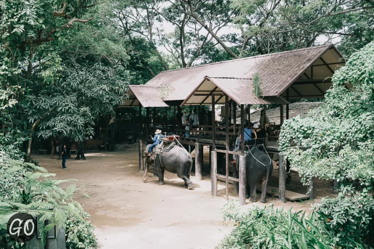 Review image of มองช้าง คาเฟ่ 